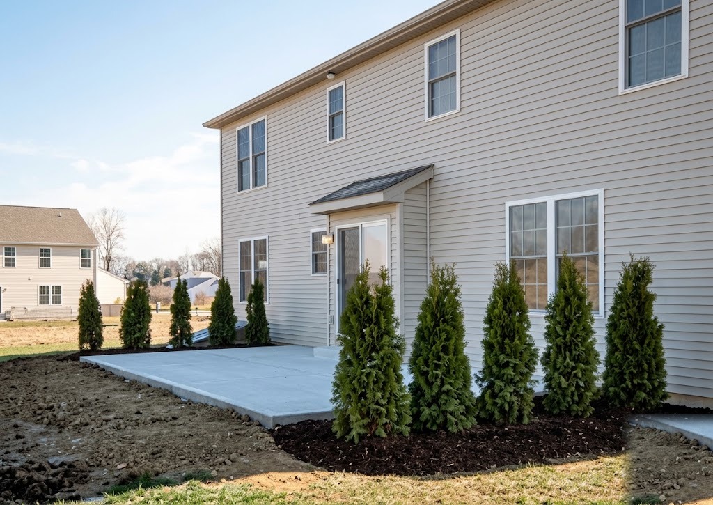 Fresh arborvitae plantings and new walkway by A&L Landscaping