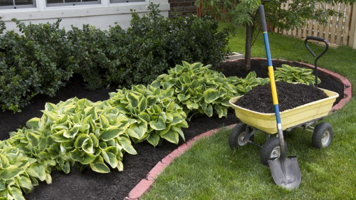 Garden beds and mulch